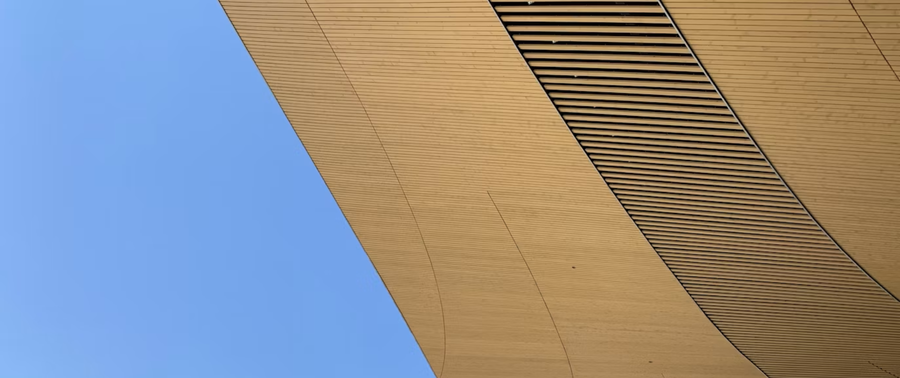 A curved timber canopy seen from below against the sky